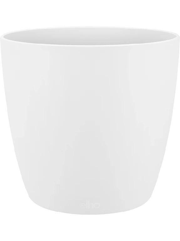 Brussels® - Wit 3 Brussels® - Wit