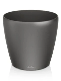 Lechuza Classico - Antraciet