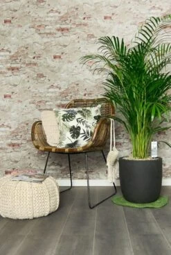 Areca - Goudpalm -Planten Series areca palm interieur