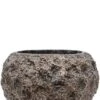 Baq Luxe Lite Moon Pot - Brons 2 Baq Luxe Lite Moon Pot - Brons -Planten Series baq brons plantenpot moon