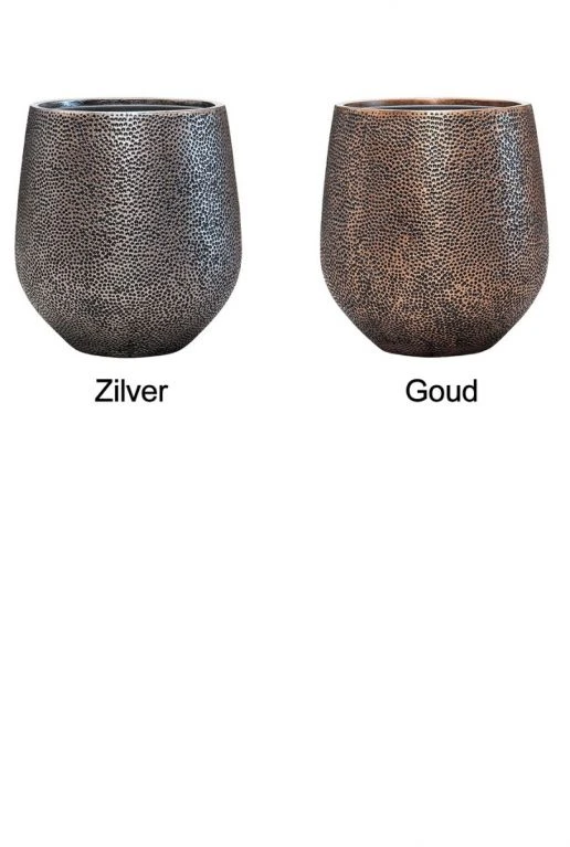 Strelitzia In Populaire Pot 5 Strelitzia In Populaire Pot - Afbeelding 3