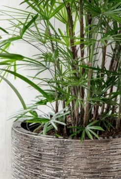 Baq Luxe Lite - Wrinkle -Planten Series baq plantenbakken brons