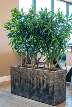 Baq Luxe Lite Comet Brons -Planten Series baq roomdivider brons kantoorplanten 1