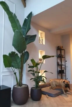 Luca Lifestyle Grigio Pot - Bruin -Planten Series bruine roest plantenbakken