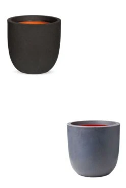 Ficus Lyrata In Capi -Planten Series capi bloempot 1 1