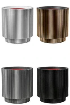 Strelitzia In Capi Groove 7 Strelitzia In Capi Groove -Planten Series capi groove bloempotten