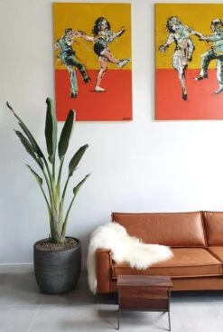 Capi Nature Rib Pot - Antraciet -Planten Series capi pot rib zwart strelitzia 1