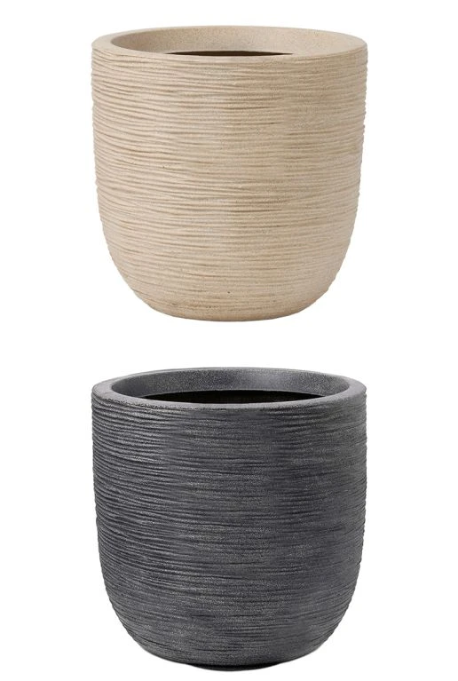 Strelitzia In Capi Waste Pot 4 Strelitzia In Capi Waste Pot - Afbeelding 2