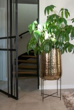 TS Collection Carly Pot Op Voet - Goud -Planten Series carly planten pot 1 1