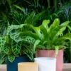 Elho Vibes Fold -Planten Series elho vibes fold kunststof bloempotten 9