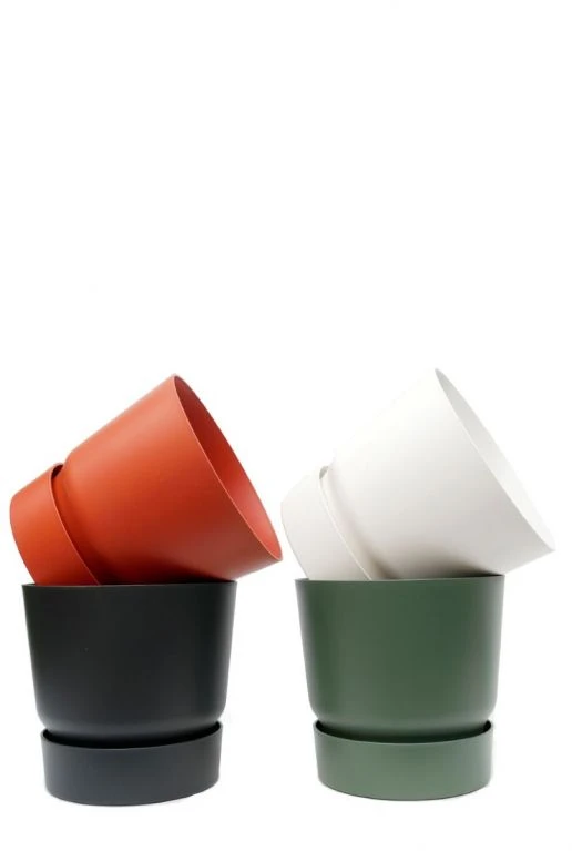 Kentia In Elho Pot 4 Kentia In Elho Pot - Afbeelding 2