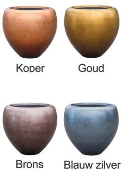 Kentia In Luxe Pot -Planten Series gekleurde potten baq 2