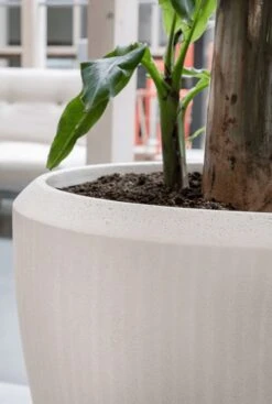 Baq Polystone Couple Pot - Naturel -Planten Series grote beige plantenbak baq