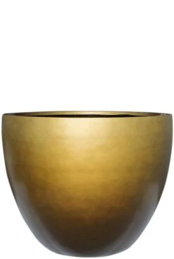 Baq Gradient Couple - Goud