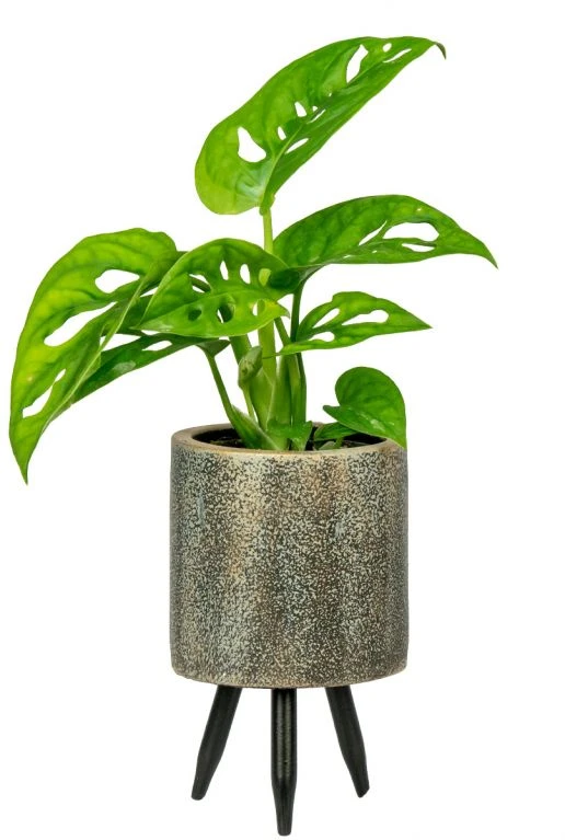 TS Collection Imre Pot - Zwart 4 TS Collection Imre Pot - Zwart - Afbeelding 2