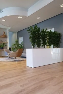 Chicago Shiny Plantenbak - Wit -Planten Series kantoorbeplanting kamerplanten