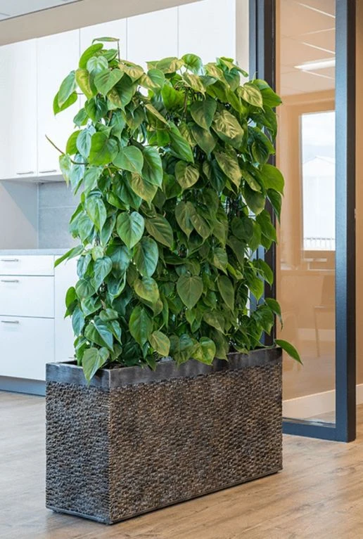 Baq Luxe Lite Layer Brons 4 Baq Luxe Lite Layer Brons - Afbeelding 2