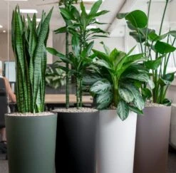 Artevasi Pot Matt 11 Artevasi Pot Matt -Planten Series kantoorplanten in gekleurde potten 1