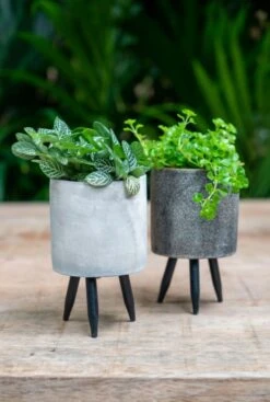 TS Collection Imre Pot