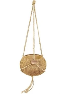 Kokodama Hangpotje - Naturel