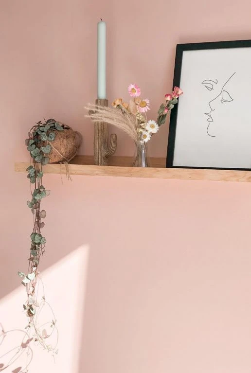 Kokodama Ceropegia Woodii - Chinees Lantaarnplantje 4 Kokodama Ceropegia Woodii - Chinees Lantaarnplantje - Afbeelding 2