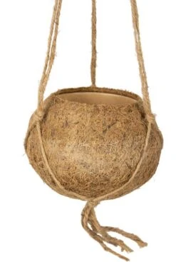 Kokodama Hangpotje - Naturel -Planten Series kokodama pot kokosnoot plant 1