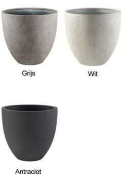 Monstera In Betonlook Pot - Gatenplant -Planten Series luca lifestyle potten