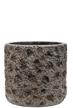 Baq Luxe Lite Straight - Moon