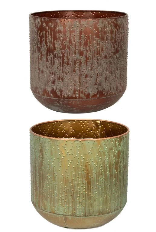 Calathea In Lian Pot 4 Calathea In Lian Pot - Afbeelding 2