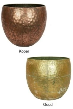 Zamioculcas In Metalen Pot - ZZ-plant -Planten Series mooie metalen potten