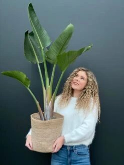 Terima-kasih Jute Mand - Naturel -Planten Series planten mand