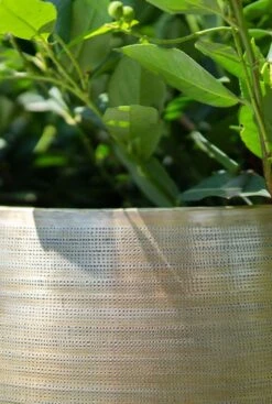 TS Collection Rowen Pot - Goud -Planten Series rowen gold pot 4