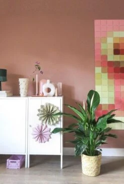 Spathiphyllum Sweet Silvana - Lepelplant -Planten Series spathiphyllum lepelplant witte bloem