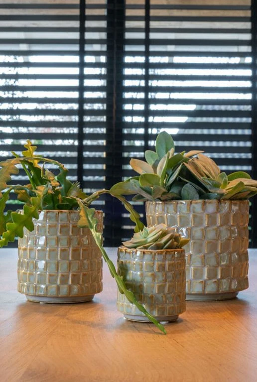 TS Collection Stian Pot - Groen 4 TS Collection Stian Pot - Groen - Afbeelding 2