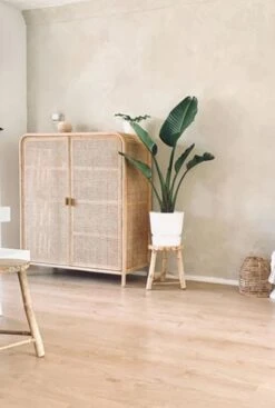 Elho Greenville Pot - Wit -Planten Series strelitzia nicolai kamerplant 2 1