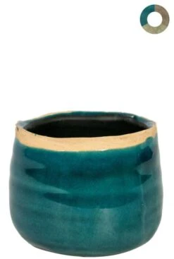 TS Collection Iris Pot -Planten Series ter steege iris blauw 8cm