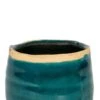 TS Collection Iris Pot - Turquoise -Planten Series ter steege iris blauw 8cm 1