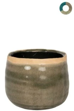 TS Collection Iris Pot -Planten Series ter steege iris grijs 8cm