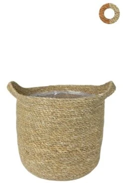 TS Collection Nelis Mand - Naturel