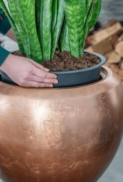 Baq Metallic Couple Pot - Koper -Planten Series waterdichte brons plantenbak 1