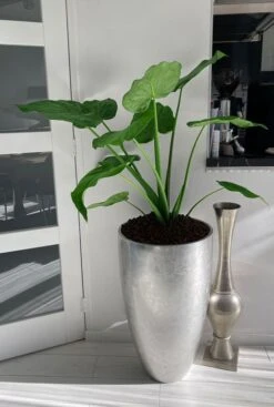 Baq Gradient Partner Vaas - Grijs -Planten Series zilvere hoge bloempot